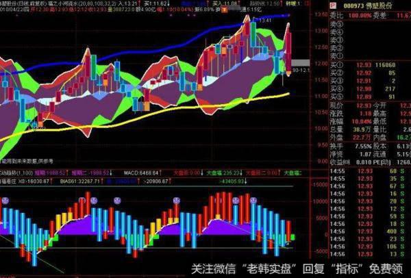 飞狐波神凯线二合一主图指标