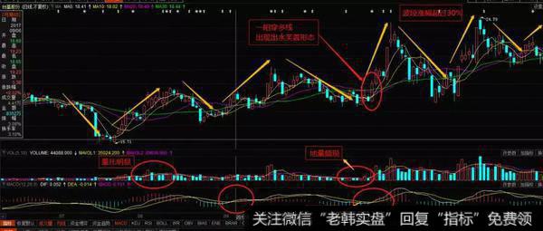 出水芙蓉的实战案例