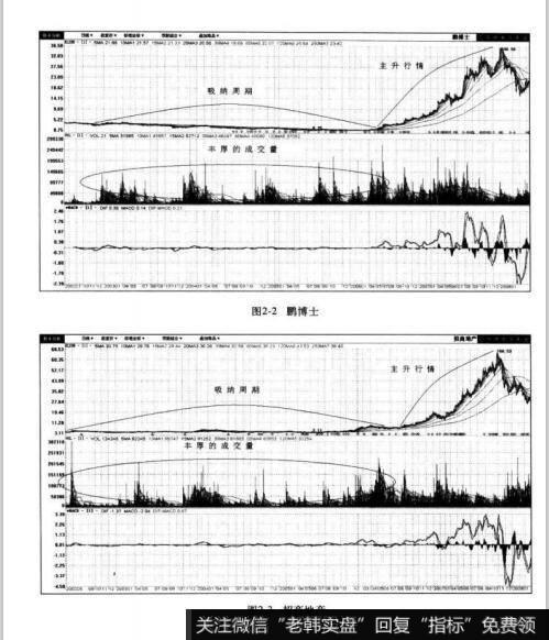 图2-2鹏博士  图2-3招商地产