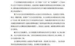 年报高送转第一股美联新材：控股股东和大股东承诺6个月内不减持