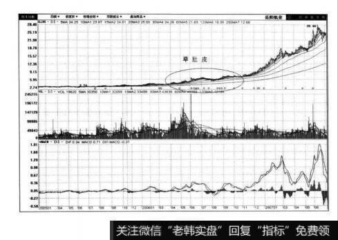 图3-52岳阳纸业