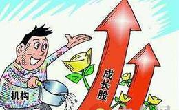 选择<em>成长股</em>时该考察哪些方面