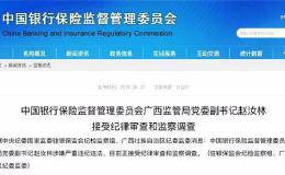 为生儿子假离婚、找代孕！银保监会首起会管干部留置案细节曝光