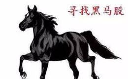 如何发现优质黑马股