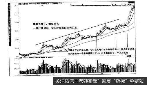 图2-8龙头股