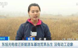 这家上市公司账上183亿却还不了36亿债！深交所发送问询函 还一直延期回复