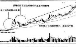 <em>如何选股</em>：培育宝马良驹
