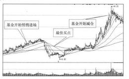 为什么基金初恋股易受宠？