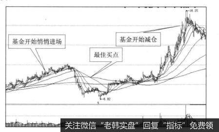 为什么基金初恋股易受宠？