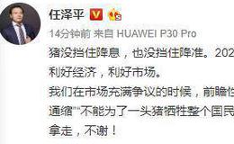 任泽平股市最新相关消息：猪没挡住降息，也没挡住降准！利好经济，利好市场