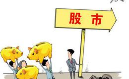 股票知识入门：董事会