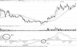 从技术指标中找黑马：如何用MACD指标选择大黑马