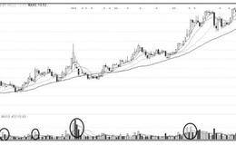 从量能中找黑马：如何用筹码分布来捕捉黑马