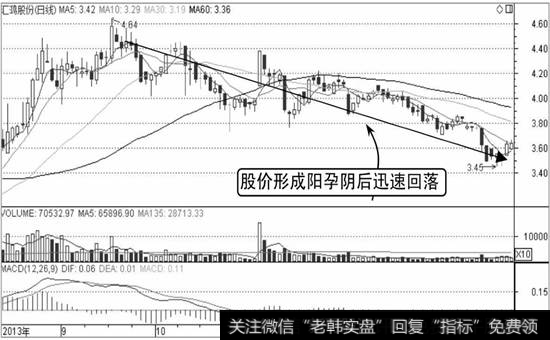 汇鸿股份K线走势图2