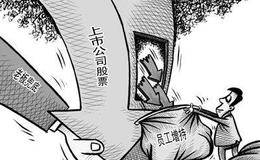 <em>抓龙头股</em>的注意事项