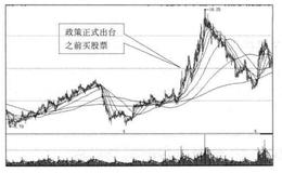 政策出台时机与买点之间的关系是什么样的？