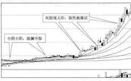 投资者怎样在死股现大阳的形态中找买点？