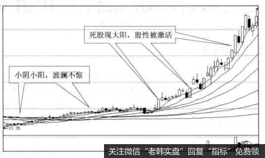 投资者怎样在死股现大阳的形态中找买点？