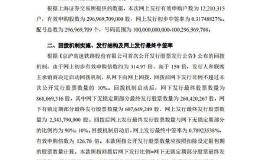 京沪高铁：网上发行最终中签率为0.7892%