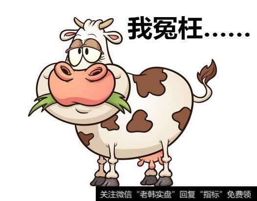 奶牛融资租赁