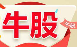 在涨幅榜中选<em>牛股</em>的技巧