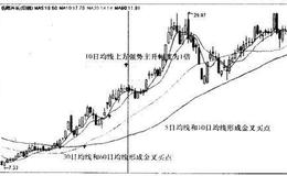 <em>岳阳兴长</em>（000819）—强势股的主升涨幅