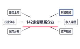 复星系142家企业名单