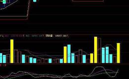 [行业生命周期]初创阶段和成长阶段的特征是什么？