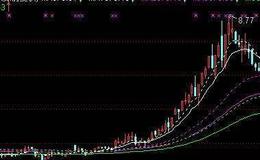 投资者怎样进行行业层面的基本分析来判断金融市场和个股未来走势？