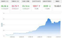 “鼠”你最红：十大“网红”题材全出炉 2020年三大主线曝光