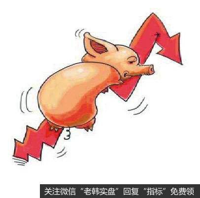 10000吨中央储备冻猪肉随时投武汉