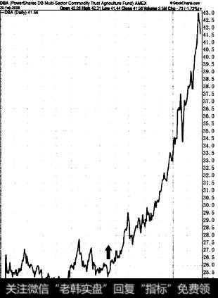 2007年8月之后.PoweShares农产品Ely的收益也开始迅速增加.这个ETF为消费者提供粮食市场的配置