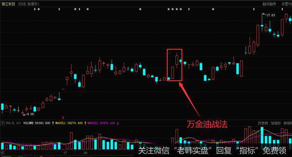 浙江东日（600113）