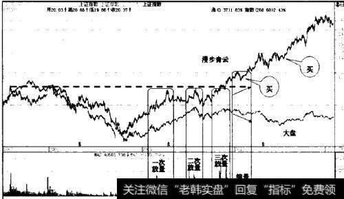 金螳螂(002081)