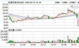 <em>龙净环保</em>：连续5日融资净买入累计6800.86万元（02-07）