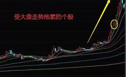 股票知识入门｜当<em>股票市场</em>处于反弹行情时都有哪些选股技巧？