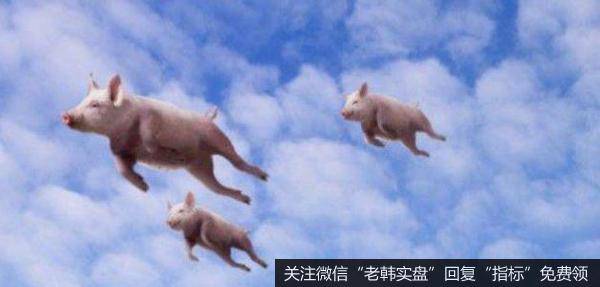 首批中央储备冻猪肉运抵武汉