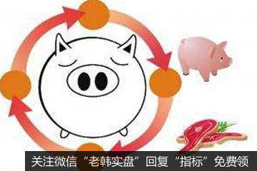 近期向武汉调拨2000吨中央储备冻猪肉 随时可投放
