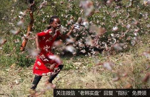 [黄生看金融]刚刚，触目惊心，全球紧急状态来了
