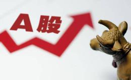 上市公司年报看哪些指标