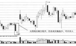 看盘追涨秘笈：捕捉<em>盘口异动</em>的个股