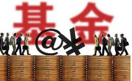 杨德龙<em>股市最新消息</em>：如何选择一支好基金？