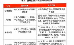 杨德龙股市最新消息：赞誉与分歧中前行--特斯拉专题报告