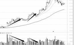 抓住主力操作的黑马：从成交量发现主力启动征兆 