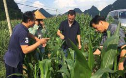  繁殖迅速六省见虫,抗虫题材概念股可关注