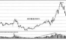 看盘追涨秘笈： 从成交量中寻找涨停黑马股 