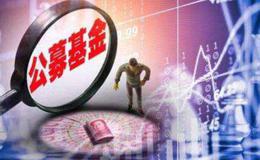 杨德龙<em>股市最新消息</em>：为何黄金板块走势强劲？