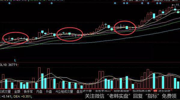 米粒底形态概述