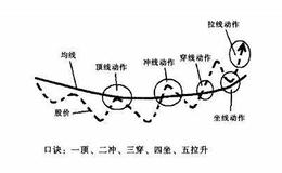 为什么股价的波动必然带动均线的扭动？