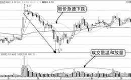 成交量温和放大的案例分析